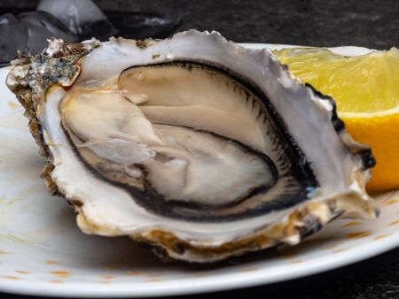 Fresh Oysters in plate, lemon, shells on marble. Delicacy super food, rich in antioxidants, vitamin,...