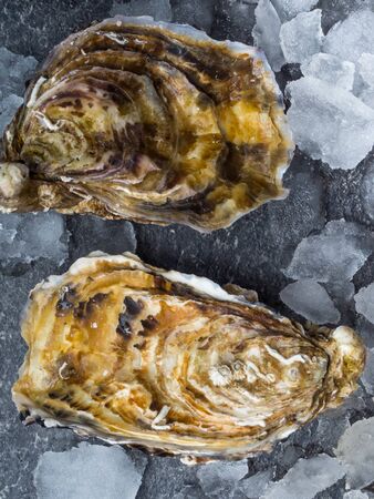 Plenty of fresh closed oysters on ice. Delicatessen in market. Close up. Sea food. Selective focus