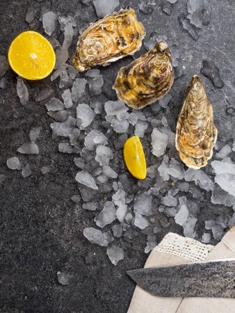 fresh raw oysters on ice with lemon slices, knife. Mollusk of the Atlantic Ocean, iodine rich foodの写真素材