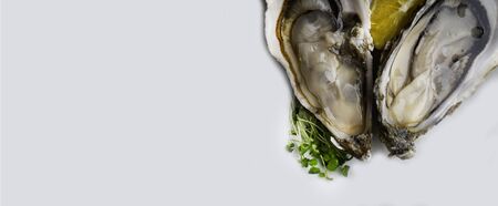Oysters heart shape isolated on white with lemon, microgreens, shells. Banner. Delicacy super food,...