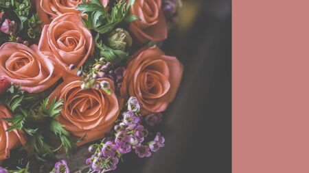 Blurred Floral background of blooming roses, Soft coral pink rose bunch on light background High key lighting, greeting cardの写真素材
