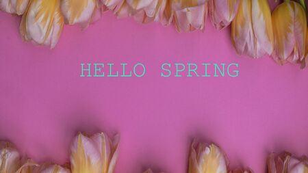 vintage bouquet of pastel color tulips on pink background with copy space, spring or summer holidays greeting cardの写真素材