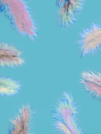 frame from multi-colored feathers on blue background, copy space