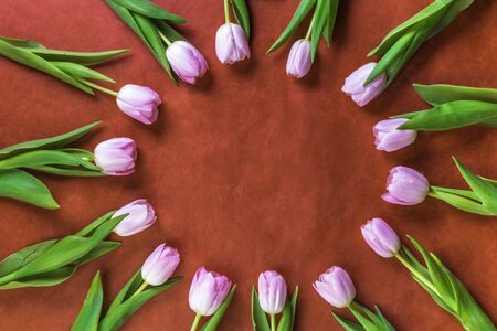 pink tulip flowers frame with copy space, Flat lay, top view. Spring holiday conceptの写真素材