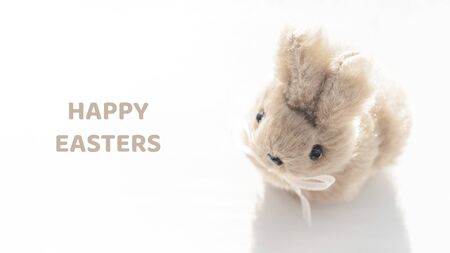 cute easter bunny on white background, Selective focus.