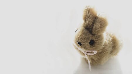 cute easter bunny on white background, Selective focus.の写真素材