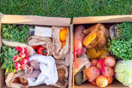 Full zero waste paper bags of different health food, vegetables and fruits, health food, rich in vitamin, antioxidants, fiber, paper boxes with organic fresh harvest from the farm, selected focusの写真素材