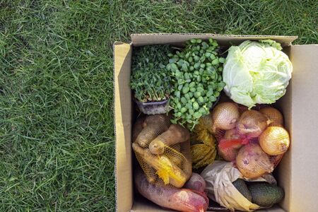 grocery packaging reusable paper shopping eco box with healthy vegetables on green grass, clean eating selection. Eco-friendly, Plastic free Zero waste lifestyleの写真素材