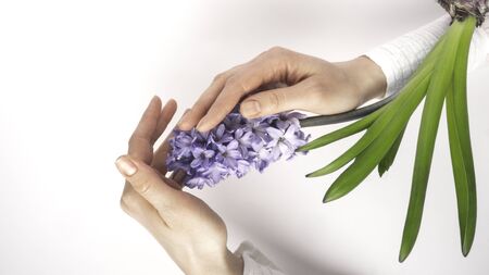 A beautiful women hand with manicure holds a fresh hyacinth flower on a white background. Side view....