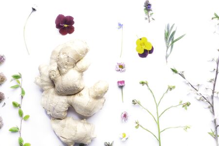 chamomile tea in clay cup, herbal flowers and leaf, ginger, natural herbal medicine and homeopathic...