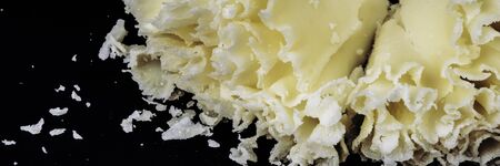 Swiss cheese Tete de Moine or monastery monk's head, scraped with a girolle special knife, rosettes on a dark slate background, copy space, selective focusの写真素材