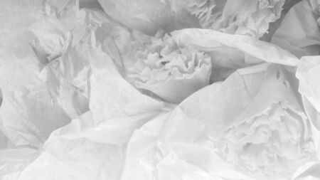 Swiss cheese Tete de Moine or monastery monk's head, scraped with a girolle special knife, rosettes on white paper background, close upの写真素材