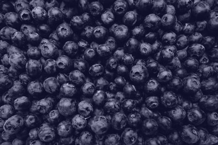 fresh organic blueberry backgroun, selective focusの写真素材