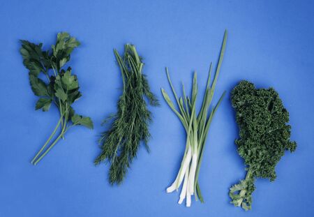 Dill parsley mangold scallions on blue background. Nourishing greens rich in vitamin, antioxidants,...
