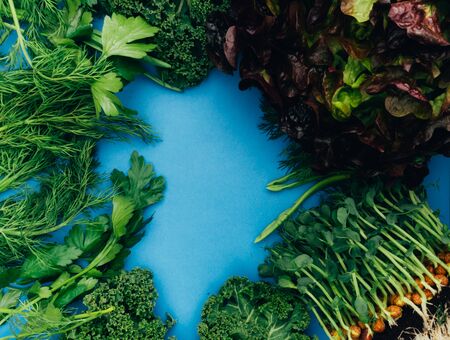 Dill parsley mangold micro greens scallions on blue background. Nourishing greens rich in vitamin, antioxidants, fibreの写真素材