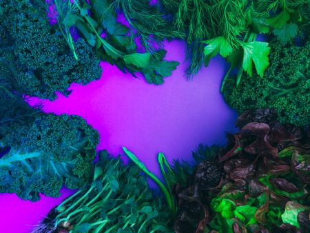 Dill parsley mangold micro greens scallions on blue background. Nourishing greens rich in vitamin, antioxidants, fibreの写真素材