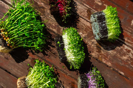 microgreens sprouts on wooden background, vegetable greens. Healthy eating concept rich in fiber, vitamin and antioxidants, close up, top viewの写真素材