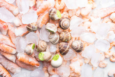 assortment of frozen seafood on ice cubes, shrimps, Babylonia areolata shellfish snails,...