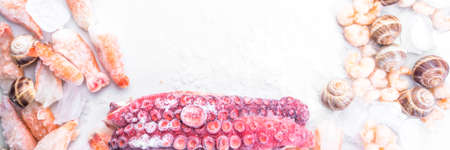 assortment of frozen seafood on ice cubes, shrimps, octopus, Babylonia areolata shellfish snails, langoustines, rich in iodine, antioxidants and vitamin, top view, copy spaceの写真素材