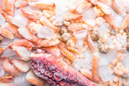 assortment of frozen seafood on ice cubes, shrimps, octopus, Babylonia areolata shellfish snails, langoustines, rich in iodine, antioxidants and vitamin, top view, copy spaceの写真素材