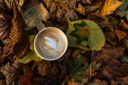 disposable paper coffee cup on yellow autumn maple leaves, cappuccino or latte art, fall mood, autumn still lifeの写真素材