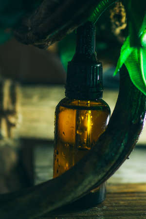 Natural organic botany with organic yellow oil in brown glass bottle, alternative green herb medicine, skin care. Bio science. Spa. Selective focusの写真素材
