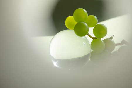 Crystal glass transparent sphere and grapes creative blurred for your text. Selective focusの写真素材