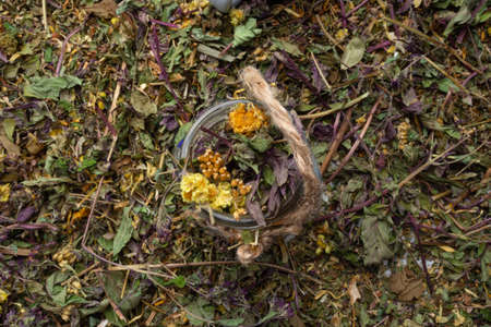 Dry Healthy Herbs Different Assortment in glass, Herbal teas, homeopathy and alternative medicine concept. Close up, top view. Flat lay. Selective focusの写真素材