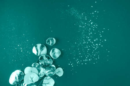 trendy tidewater green blank with festive sparkles, space for wishes, invitationの写真素材