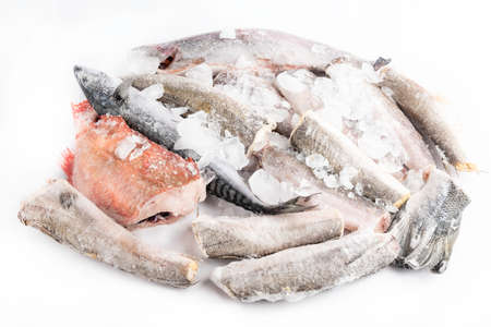 variety of frozen sea sustainable food, fish, shrimps, mackerel, hake, perch, trout, salmon with ice...