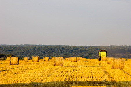 Harvesting  fieldの写真素材