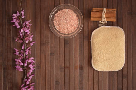 Luffa, natural exfoliant for skin care.の写真素材