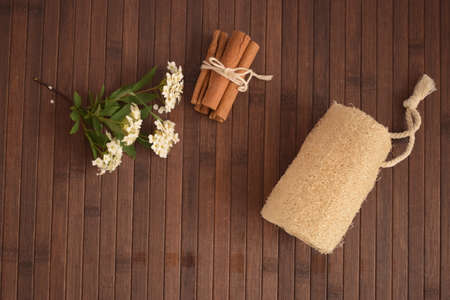 Luffa, natural exfoliant for skin care.の写真素材