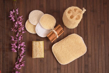 Luffa, natural exfoliant for skin care.の写真素材