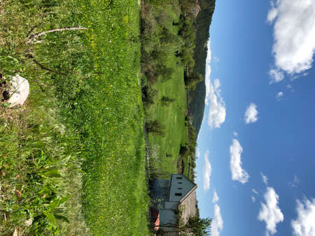 Village on the mountain green with trees and vegetationの写真素材