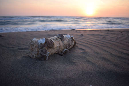 Plastic waste dumped on the beachの写真素材