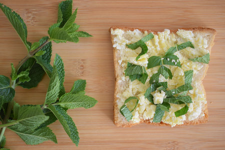 Healthy toast for breakfast with avocado, eggs, tomatoes, arugula etcの写真素材