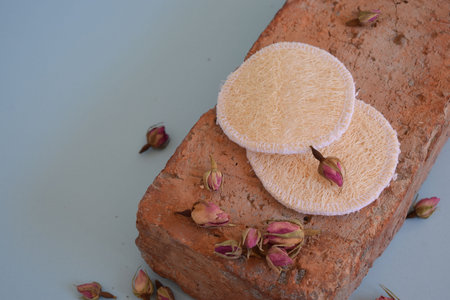 Natural Luffa Sponge. Face wash with natural spongeの写真素材