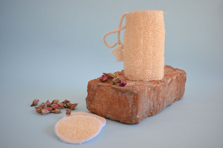 Natural Luffa Sponge. Body scrap with natural sponge .の写真素材