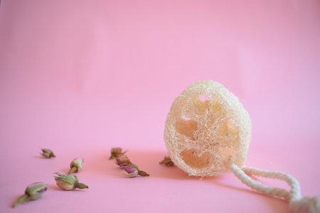Natural Luffa Sponge. Body scrap with natural sponge .の写真素材