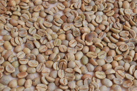 Unripe coffee beans, background with coffee beansの写真素材