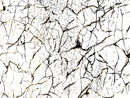 White and black marble canvas abstract painting background with gold texture. Vectoのイラスト素材