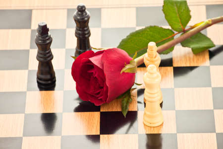 Rose on the chessboard with chess pieces battle, represent love battle,competition , fight for love or peaceの写真素材