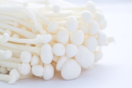 Mushroom, group of golden needle Mushroomの写真素材