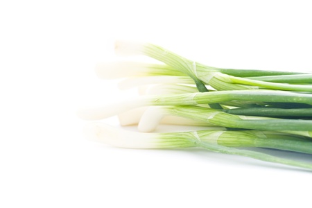 Green spring onion on white backgroundの写真素材