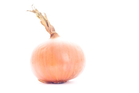 Fresh onion on white backgroundの写真素材