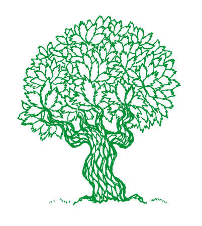 tree wood ecology rawing sketch illustration artの写真素材