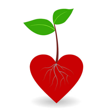 Healthy life style. Vector concept. A healthy heart.のイラスト素材