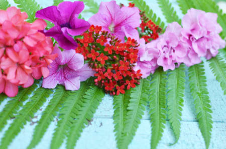 flowers on the wooden vintage background. Selective focus.の写真素材