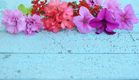 flowers on the wooden vintage background. Selective focus.の写真素材